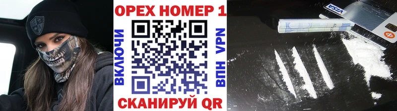 закладки Кедровый COCAIN 99%