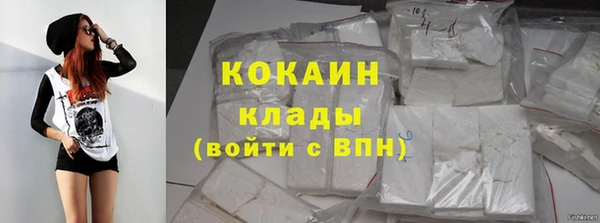 молекула духа Няндома