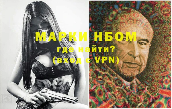 молекула духа Няндома
