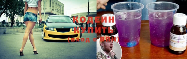 молекула духа Няндома