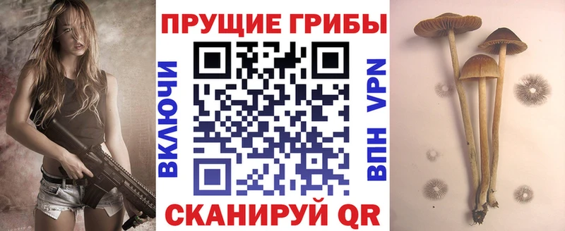 Галлюциногенные грибы мухоморы  Кедровый 